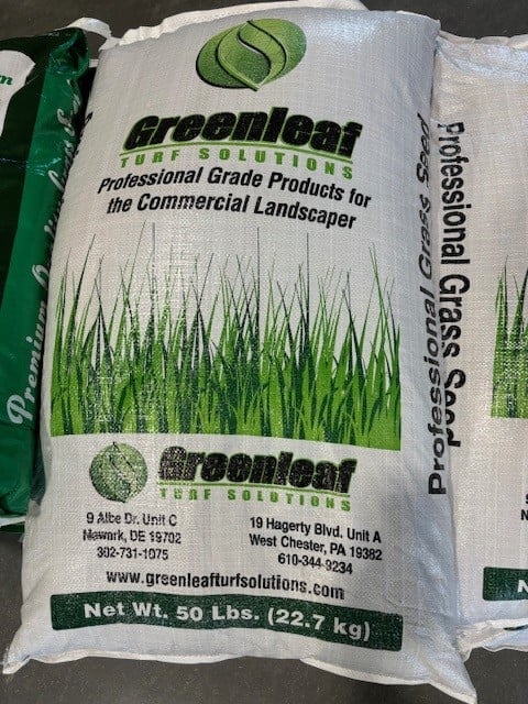 Grass Seed